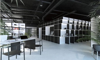 黑白灰+绿植，办公室设计的绝配！